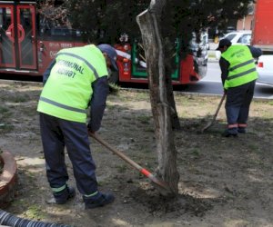    Meriya hərəkətə keçdi: Aşkarlanan nöqsanlar aradan qaldırılır   