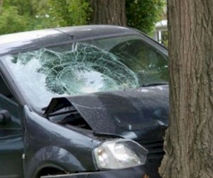    Maşın ağaca çırpıldı, sürücü içəridə sıxılı vəziyyətdə qaldı   