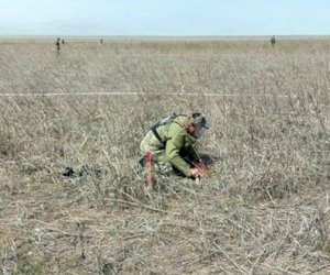    Müdafiə Nazirliyi azad edilmiş ərazilərdəki vəziyyətlə bağlı məlumat yaydı   