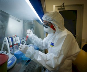    
Azərbaycanda koronavirus mənzərəsi: 7 nəfər sağaldı, 8 nəfər yoluxdu    