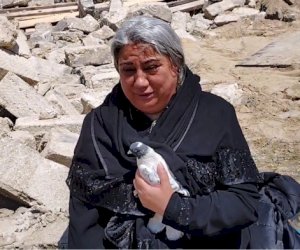    
Evi sökülən şəhid anasına 3 otaqlı mənzil verilib - RƏSMİ   