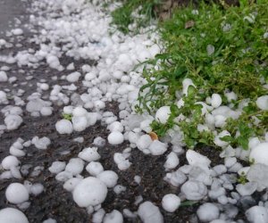    
Nazirlikdən hava ilə bağlı daha bir    
XƏBƏRDARLIQ