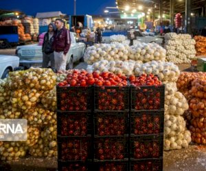    4 məhsula ixrac qadağası: “Bu, qanuna ziddir“   