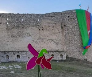    Şuşada Xarıbülbül festivalı keçiriləcək   