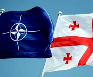    Rəsmi Tbilisi NATO sammitinə dəvət alacaq   