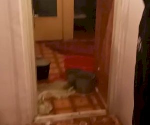    Yeni Günəşlidə binanı su basdı - Video   