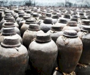    Çində 5000 ildən çox yaşı olan şərab küpləri tapıldı   
