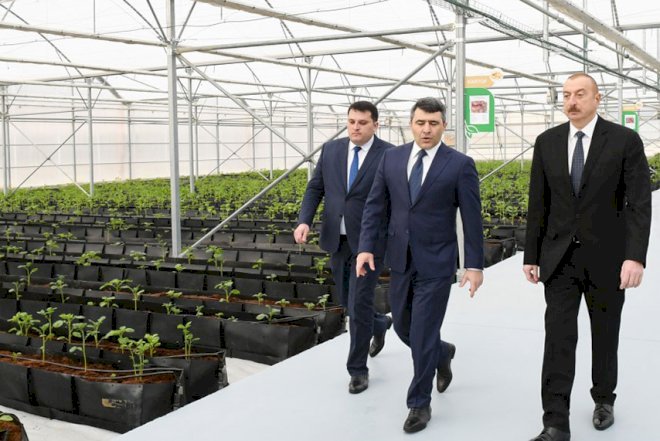    Prezident Bakıda keçirilən sərgilərdə olub   