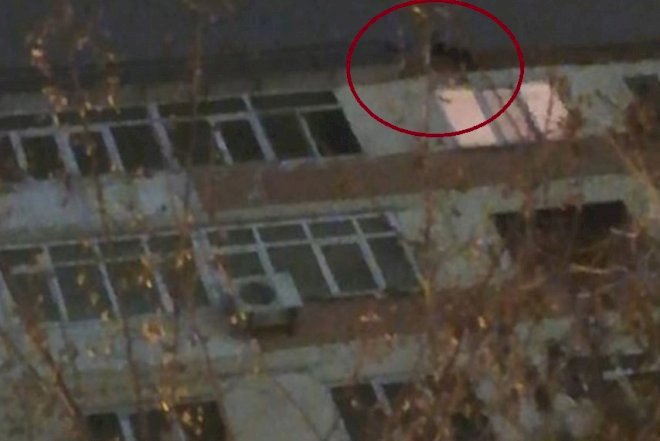    Gənc oğlan binanın üstünə çıxıb, özünü atmaq istəyir    