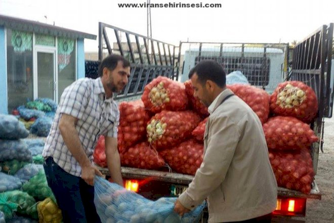    Azərbaycan soğanı Türkiyə bazarında - Video   