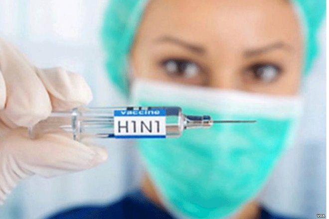    Gürcüstanda bir nəfər “donuz qripi“ ndən  ölüb   