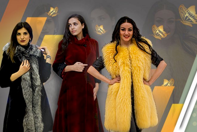    “Femina” xəz-dəri mağazasında da yoxlamalar başladı   