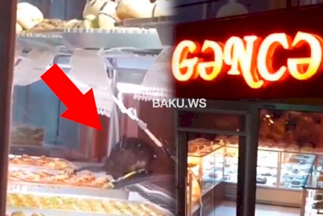    Şirniyyat evindəki siçovulla bağlı açıqlama   