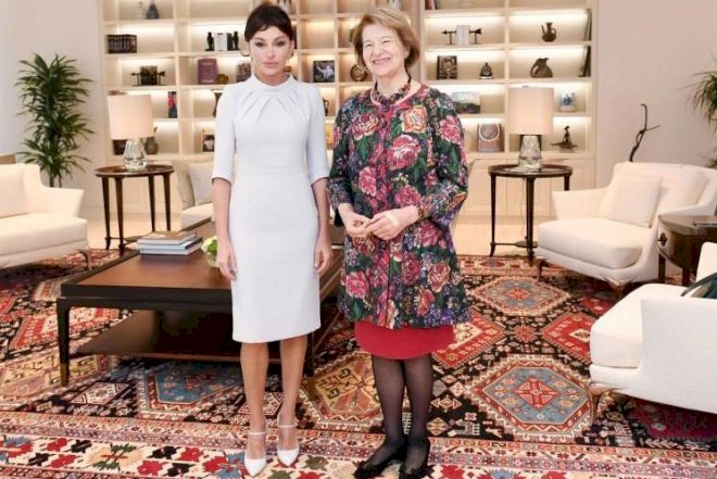   Mehriban Əliyeva Britaniya elçisi ilə görüşdü   