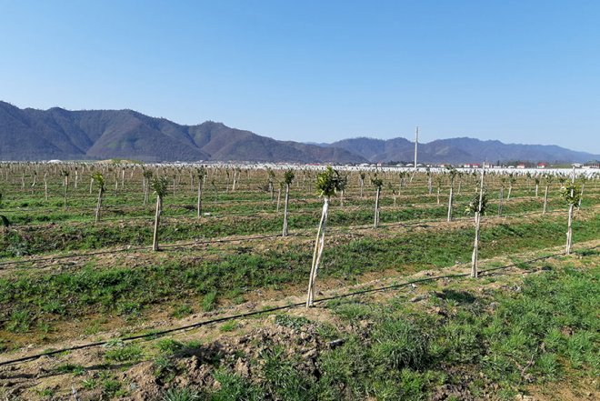    Bu sahibkarlara 123,5 milyon güzəştli kredit verilib   