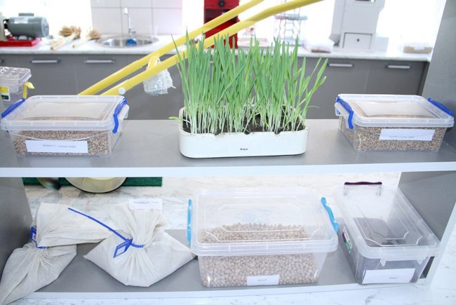    Müasir toxumçuluq laboratoriyası yaradıla bilər   