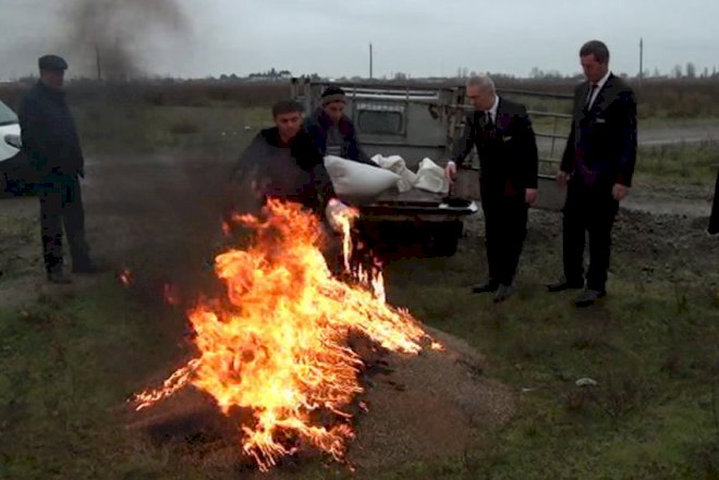    550 kiloqram zərərli toxum yandırıldı   