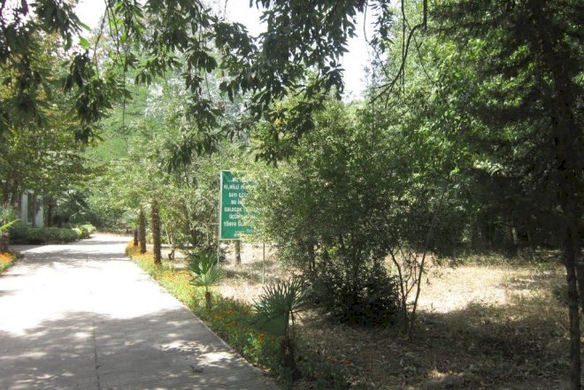    Milli parklarda uşaqlar üçün guşə yaradılacaq   