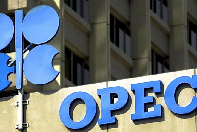    Bakıda OPEC+ ölkələrinin iclası başlayıb   