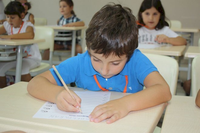   Birinci sinfə qəbulla bağlı suallar cavablandırılıb   