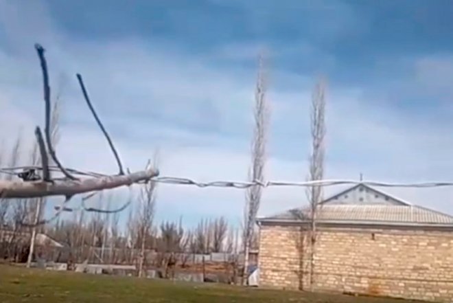    Bu kənddə elektrik dirəkləri ölüm saçır - Video   