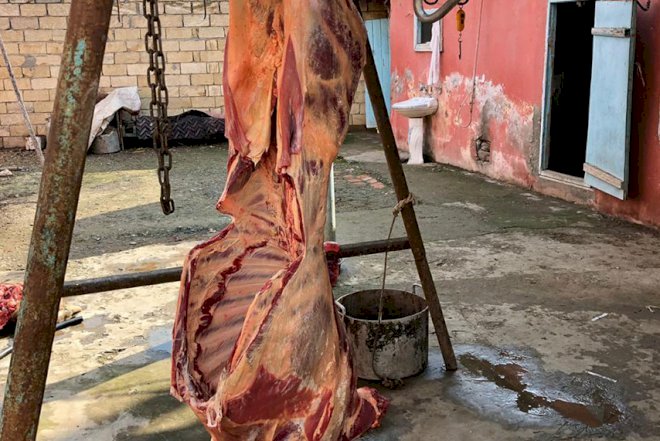    150 kiloqram yararsız ət satmaq istədi   