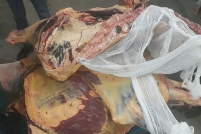    Mənşəyi məlum olmayan 180 kiloqram ət aşkarlandı   