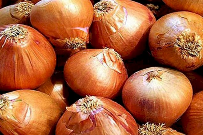    Soğan böhranının səbəbi tapıldı – İran qadağa qoyub   