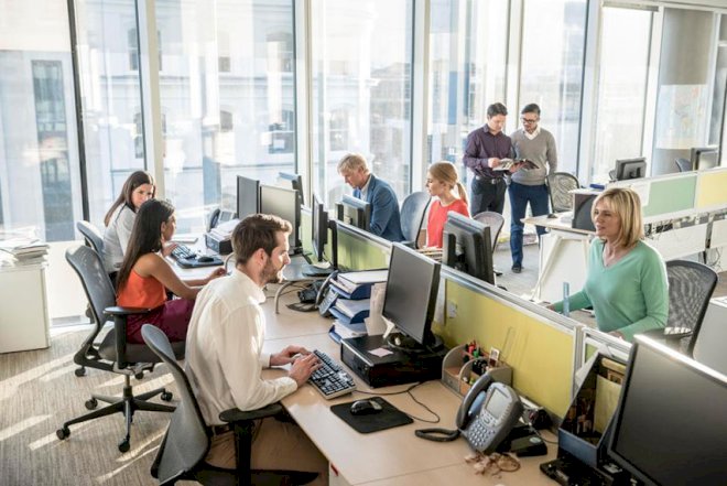    34 minə yaxın şəxs işlə təmin edilib   