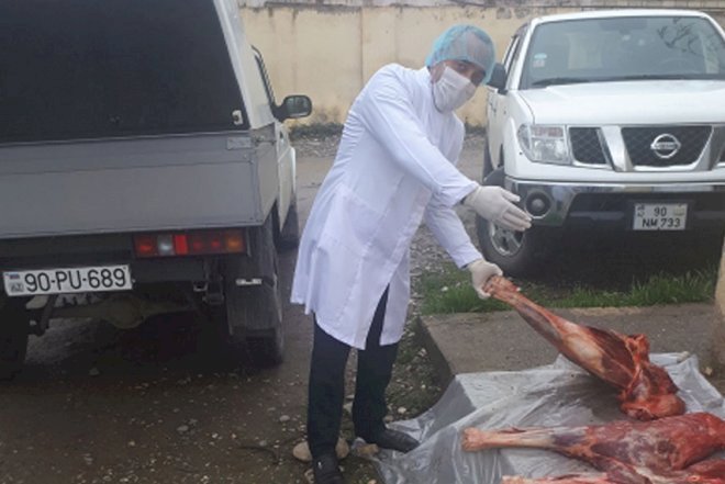    146 kiloqram yarasız ət və at başları aşkarlandı   