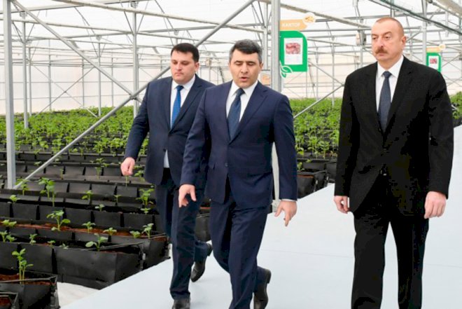    Dövlət əhalidən məhsulları satın alacaq – Prezidentdən qərar   