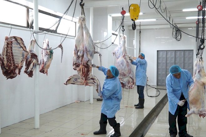    Yeni heyvan kəsimi məntəqəsi istifadəyə verildi   