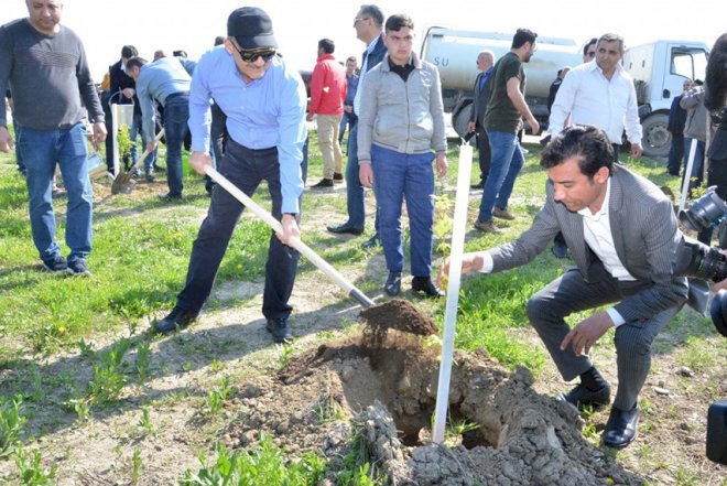    Nazirlərimiz ağac əkdi   