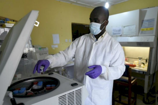    Viruslar yüzlərlə insanı öldürdü  - Nigeriyada    