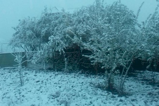    Azərbaycanın bu rayonlarına qar yağdı – Foto   