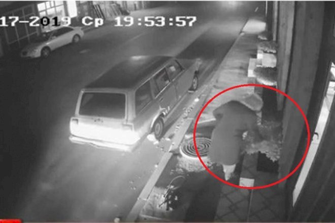    Bakıda qadın küçədən dekorativ ağacı oğurladı - Video   