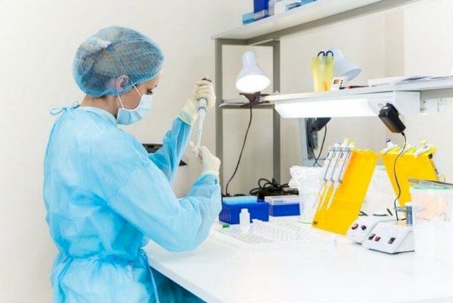    DNT analizinin aparılması qaydası müəyyənləşdi   