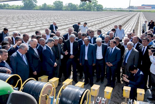    Pambığın Çin texnologiyası ilə becərilməsi tətbiq olundu   