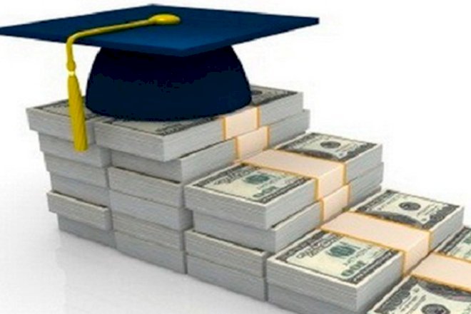    Universitetlər təhsil vermək yox, diplom satmaqla məşğuldur - Açıqlama   