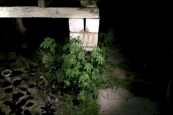    Narkotiklərin qanunsuz dövriyyəsinə qarşı əməliyyat keçirilib   