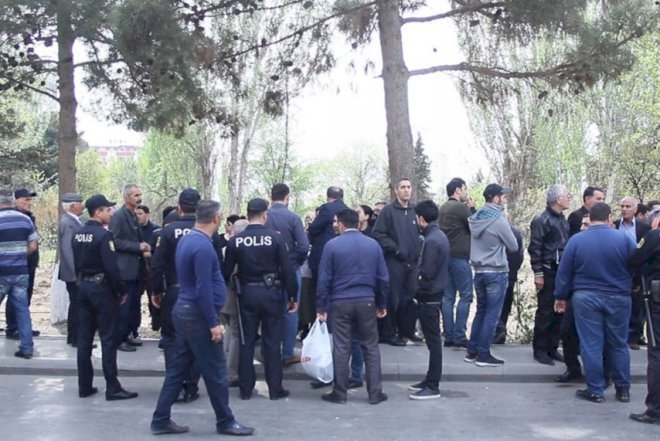    Xətaidə ağaclara gecə hücumundan yeni görüntülər - Fotolar   