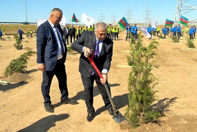    96 min ağac əkilib   