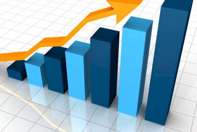    Adı ən çox hallanan qurumlar - Monitorinq nəticələri   
