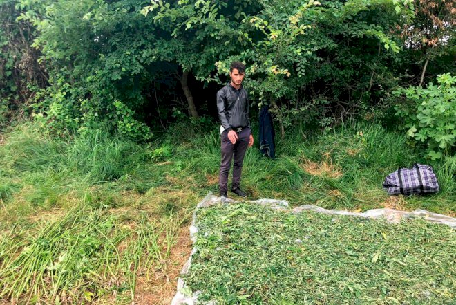    Masallı sakini külli miqdarda narkotiklə saxlanıldı   