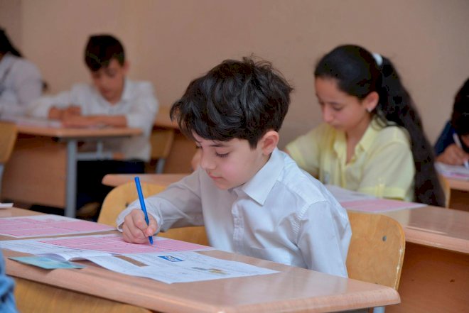    IV Məntiq Olimpiadasının final mərhələsi keçirilib   
