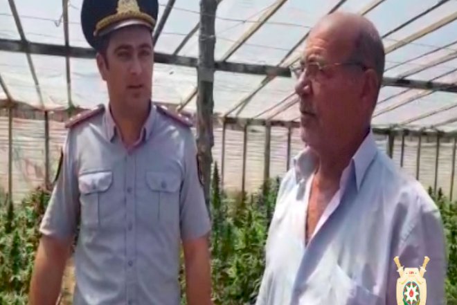    921 kiloqram narkotik dövriyyədən çıxarılıb   