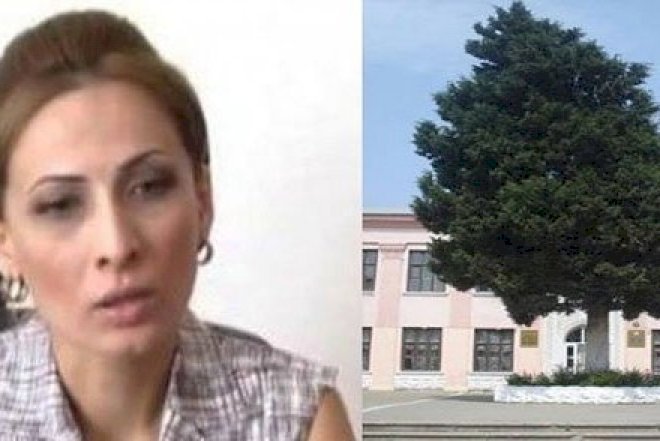    Nazir məktəb direktorunu işdən azad etdi   