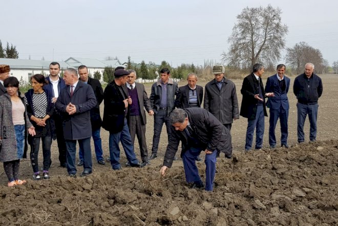    Ucar sakinlərindən müdirlə bağlı şikayət   