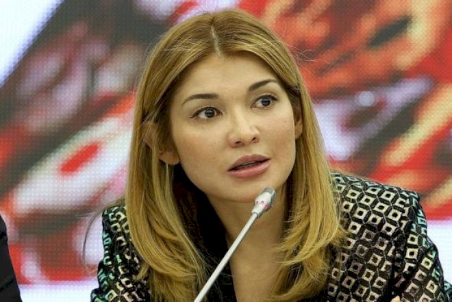    1.2 milyard dollar ölkəyə qaytarıldı   