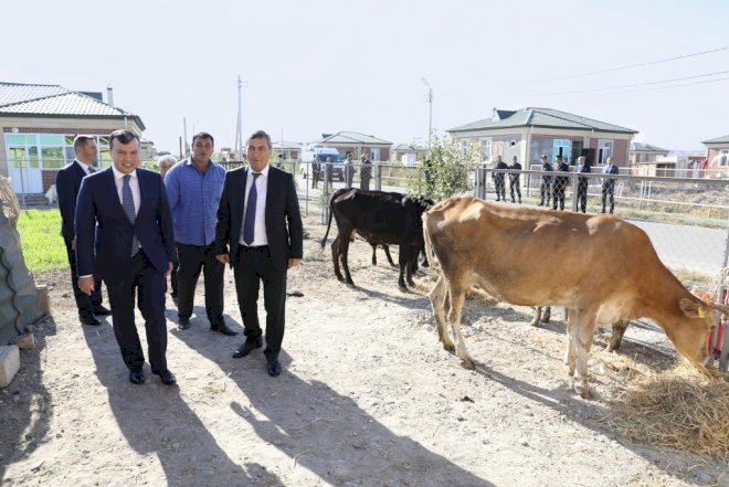    Sahil Babayevin 1 il 2 ayı: Müslümovdan qalan pafos, arıqlayan inəklər   